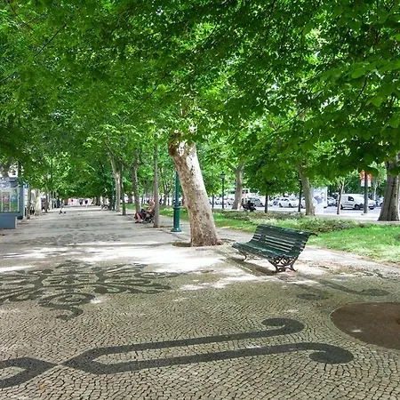 Plum Guide - Candy Apple Lisbon